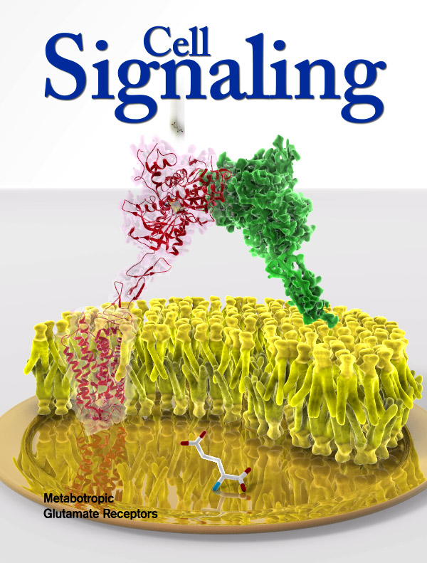 Represor transcripcional Foxp2