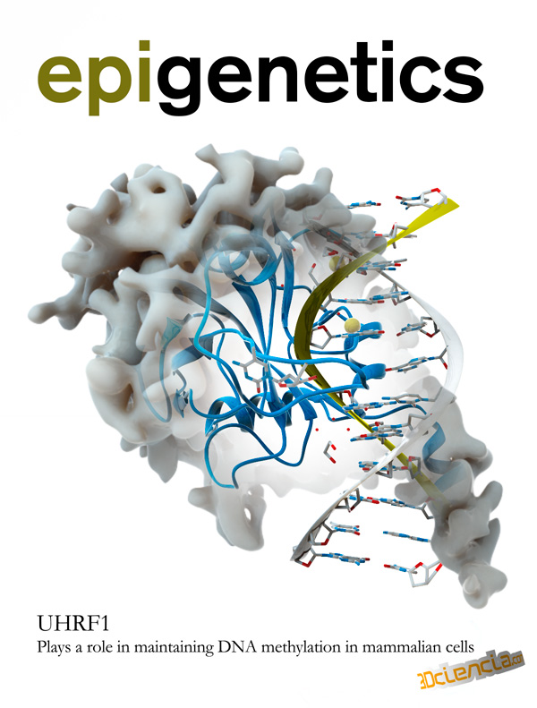 Represor transcripcional Foxp2