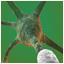 3d ciencia intro video