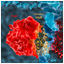 HipA-HipB-DNA-persistent-bacteria-video